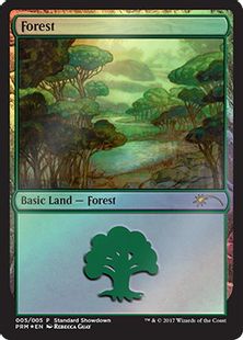 【Foil】《森/Forest》(Illus.Rebecca Guay)[ショーダウン] 土地