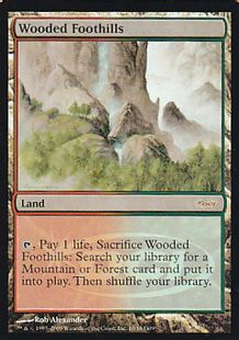 【Foil】《樹木茂る山麓/Wooded Foothills》(ジャッジ褒賞)[DCIマーク] 土地