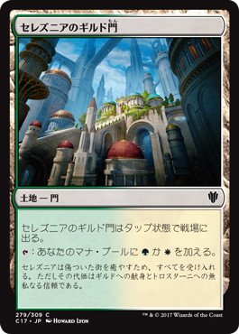 Foil】《森/Forest》(巳年プロモ)[流星マーク] 土地 | 日本最大級 MTG