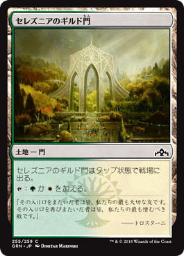 セレズニアのギルド門