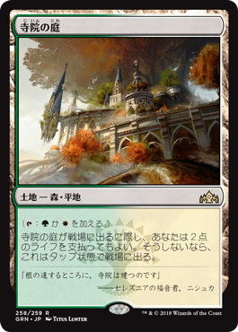 ホットセール mtg 金箔刻印入り 無私のパラディンナダール D&D foil 