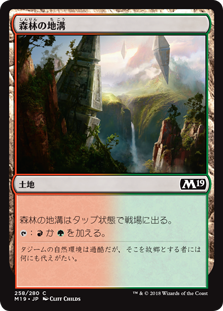 森林の地溝