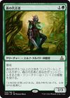 森の代言者