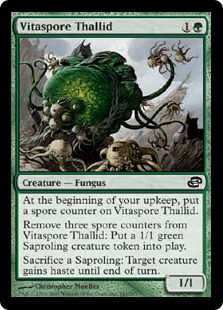 Vitaspore Thallid