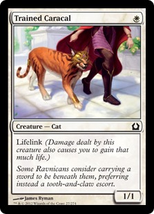 EDH《世界の咆哮、アラーボ》デッキ構築ガイド｜Gio Star
