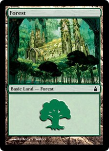 (305)《森/Forest》[RAV] 土地