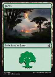 (264)《森/Forest》[DTK] 土地