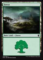 (263)《森/Forest》[DTK] 土地