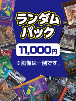 ランダムパック　11,000円Ver