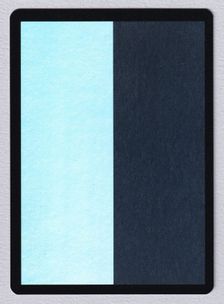 【Foil】《White-Black Filler Card》[エラーカード]