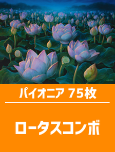 【最終値下げ】ロータスコンボ　MTG デッキ販売　サイド込マジックザギャザリング