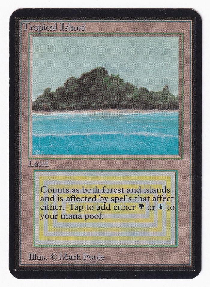 MTG Tropical Island 英語 状態良好 - シングルカード