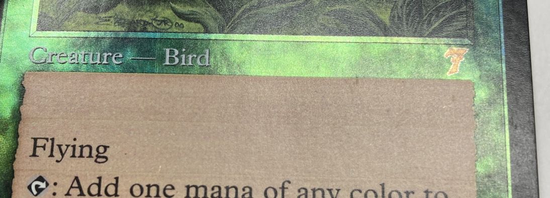 【Foil】《極楽鳥/Birds of Paradise》[7ED] 緑R