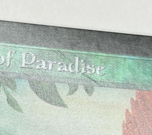 【Foil】《極楽鳥/Birds of Paradise》[7ED] 緑R