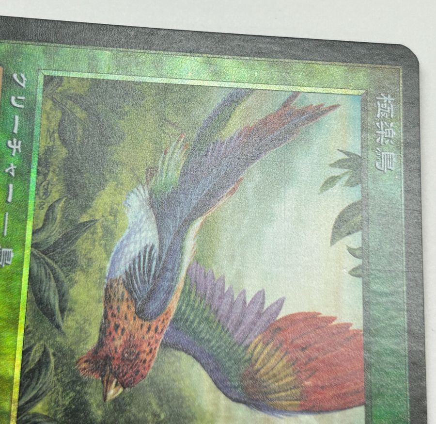 Foil】《極楽鳥/Birds of Paradise》[7ED] 緑R | 日本最大級 MTG通販 
