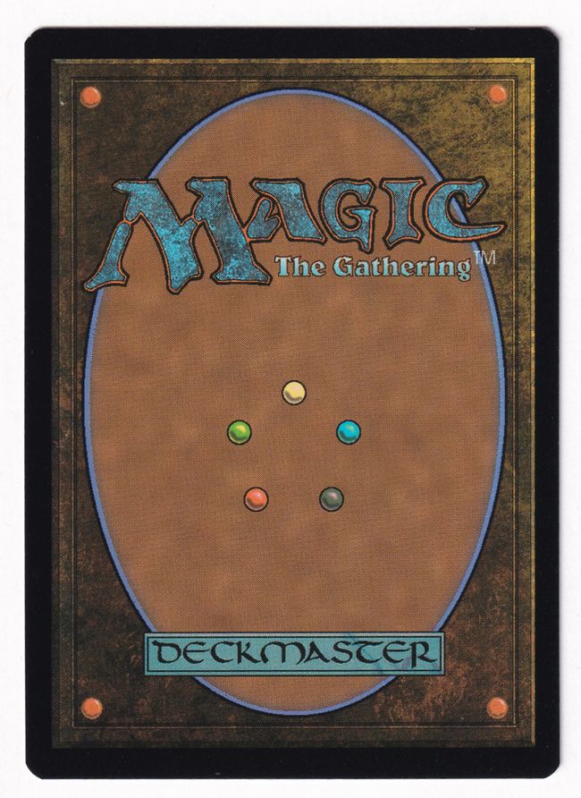 珍品】mtg フィラーカード - マジック：ザ・ギャザリング