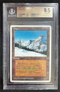 委託商品】《Taiga》[Summer Magic] 土地 BGS9.5 | 日本最大級
