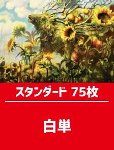 スタンダード構築済デッキセット75枚入り（白単） | 日本最大級 MTG通販サイト「晴れる屋」