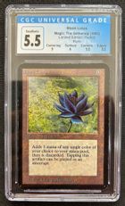 Black Lotus》の商品検索 | 日本最大級 MTG通販サイト「晴れる屋」