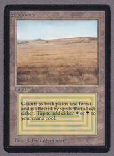 サインカード特集の商品検索 | 日本最大級 MTG通販サイト「晴れる屋」