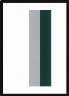 Black Border Stripes+Two Sides Black Border Filler Card》[エラー