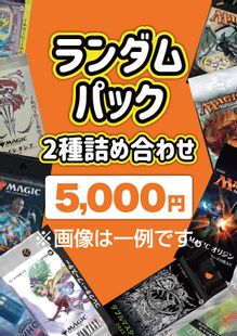 MTG　まとめ売り　約5000枚 2025年最新】Yahoo!オークション -mtg 引退の中古品・新品・未