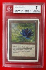 希少 睡蓮の花　black lotus　スリーブ　未開封 希少 睡蓮の花 black lotus スリーブ 未開封 Amazon.co.jp: 睡蓮