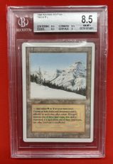 Taiga マジック：ザ・ギャザリング 土地カード Taiga マジック：ザ・ギャザリング 土地カード Taiga マジック