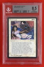 アラビアンナイト/レア/Normalの商品検索 | 日本最大級 MTG通販サイト