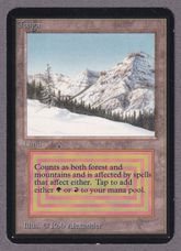 Taigaの商品検索 | 日本最大級 MTG通販サイト「晴れる屋」