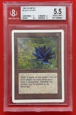 Black Lotusの商品検索 | 日本最大級 MTG通販サイト「晴れる屋」