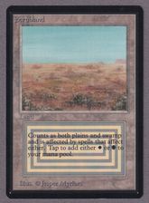 サインカード特集の商品検索 | 日本最大級 MTG通販サイト「晴れる屋」