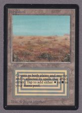 サインカード特集の商品検索 | 日本最大級 MTG通販サイト「晴れる屋」