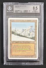 Taiga 3EDの商品検索 | 日本最大級 MTG通販サイト「晴れる屋」