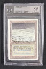 デュアルランドの商品検索 | 日本最大級 MTG通販サイト「晴れる屋」