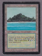 デュアルランドの商品検索 | 日本最大級 MTG通販サイト「晴れる屋」