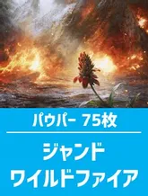 パウパー構築済デッキの商品検索 | 日本最大級 MTG通販サイト「晴れる屋」